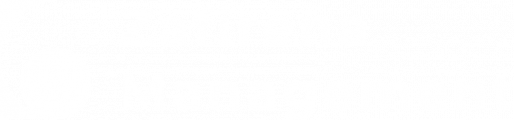 light logo